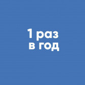 Раз в год